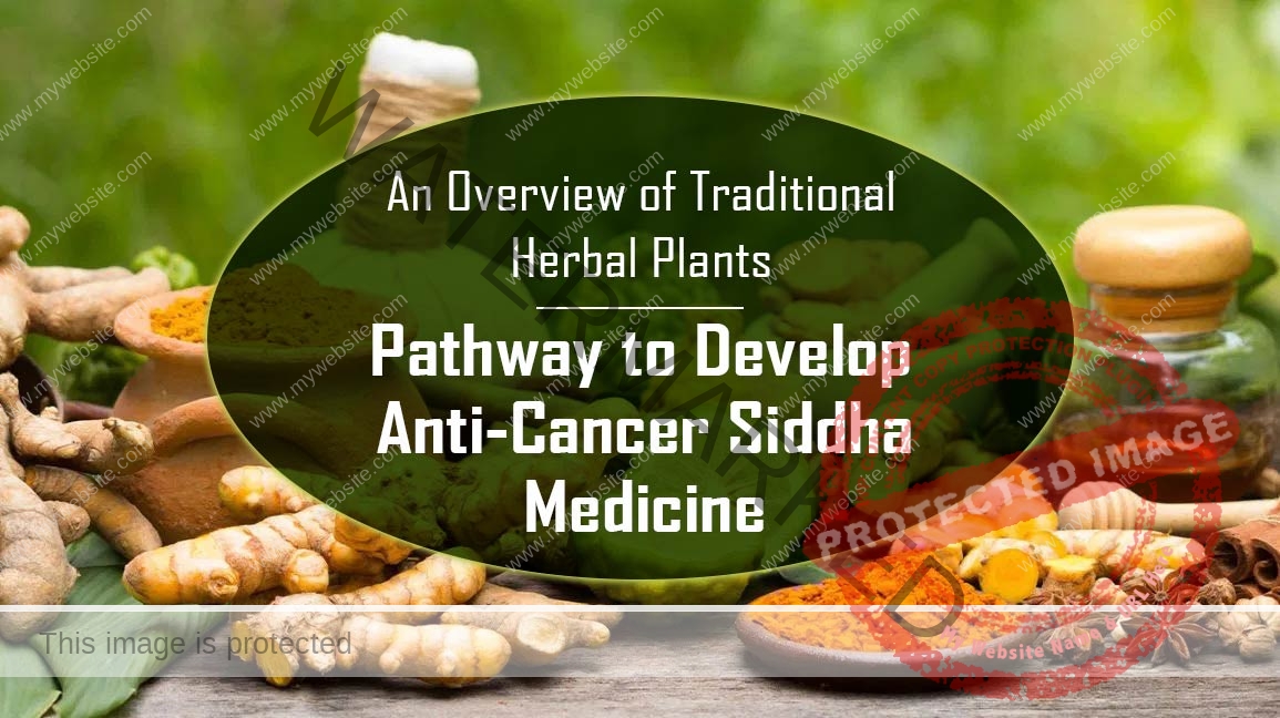 Anti-Cancer Siddha Medicine - Phytoherbs Nutricare